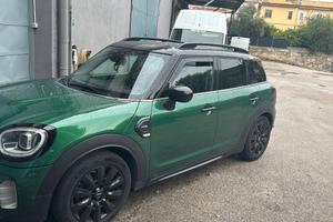 Minicountryman