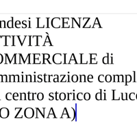 Licenza commerciale Lucca