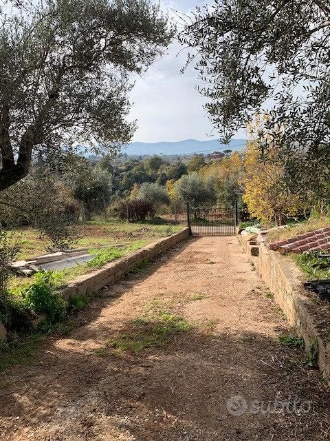 Gallicano nel Lazio rustico con terreno - Altro