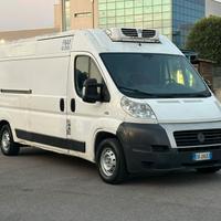 FIAT DUCATO CON FRIGO ANNO 2010 SUPER PREZZO!
