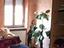 Immagine 12