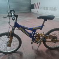 bicicletta 
