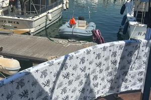 Gommone novamarine rh450 con motore