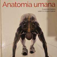 Anatomia Umana -  Mckinley - PICCIN