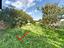 Immagine 26