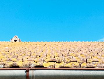 tegole usate toscane