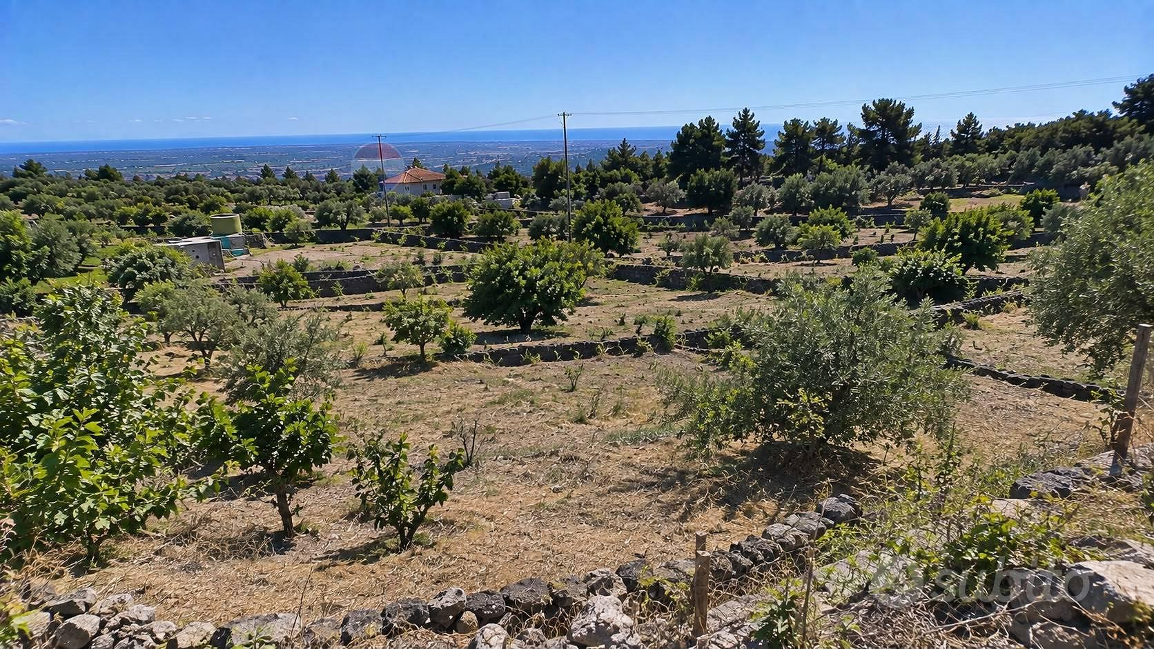 Terreno Edificabile - Santa Maria di Licodia - Vista 5