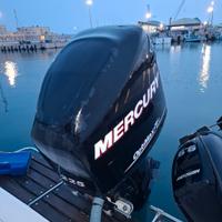 Mercury optimax 225 xl sinestroso