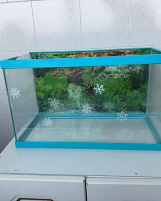 Acquario 35litri