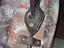 Immagine 5