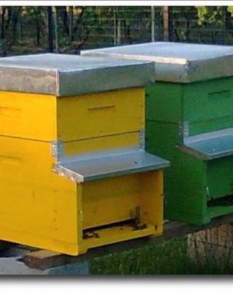 Api e materiale apistico