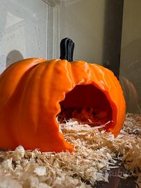 Tana per rettili a forma di zucca