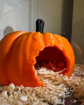 Tana per rettili a forma di zucca