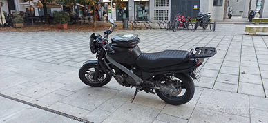 Honda Revere NTV 650