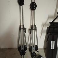 Coppia di Thule Freeride 532