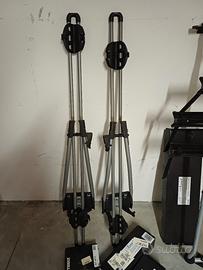 Coppia di Thule Freeride 532