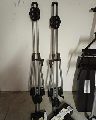 Coppia di Thule Freeride 532