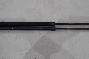 FIAT DOBLO 2009 - AMMORTIZZATORI PORTELLONE POSTER