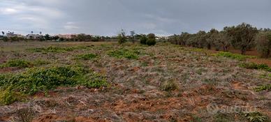 Terreno Agricolo Ugento-Gemini