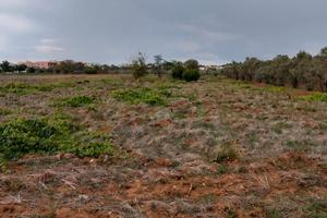 Terreno Agricolo Ugento-Gemini
