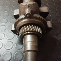 Albero motore lombardini