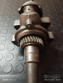 Albero motore lombardini