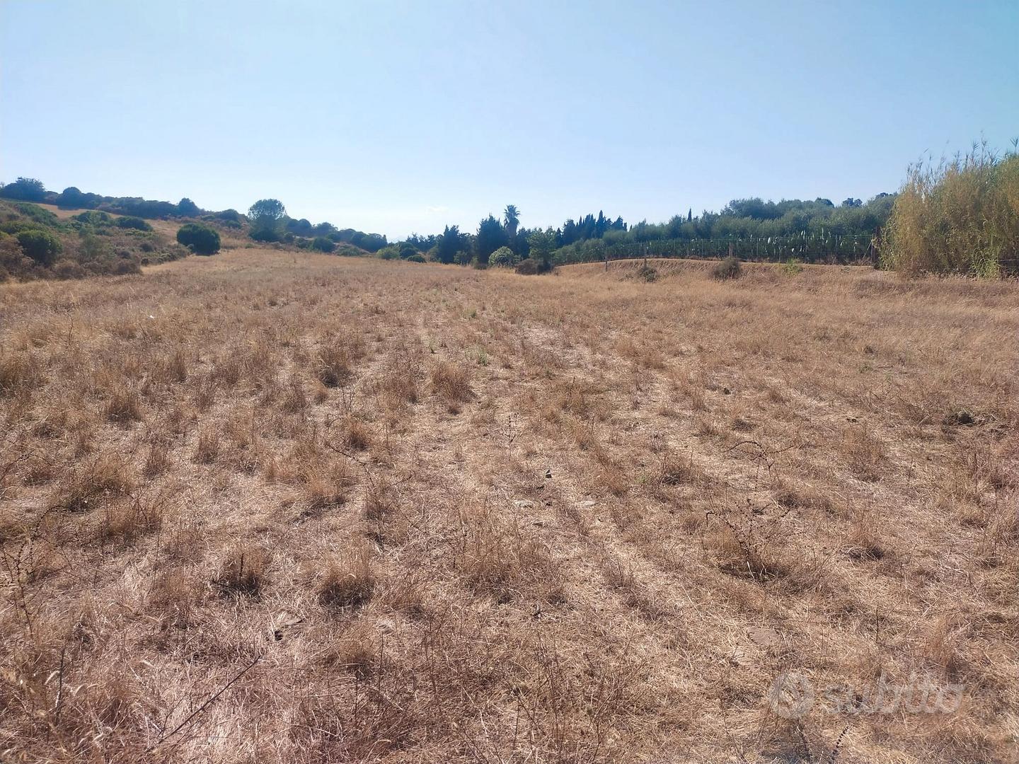 Terreno agricolo - Vista 3