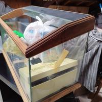 Acquario x Tartarughe