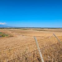 Azienda Agricola 11,5 Ettari - Ramacca, Contrada P