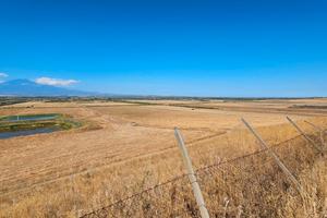 Azienda Agricola 11,5 Ettari - Ramacca, Contrada P