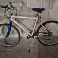 Bici.