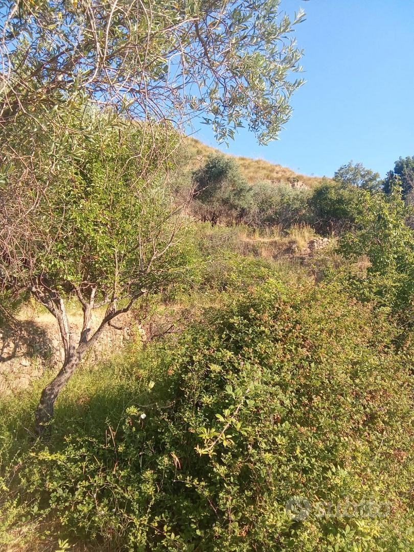 Terreno agricolo - Vista 2
