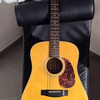 Chitarra acustica folk american style W D. Brand