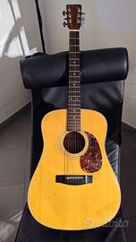 Chitarra acustica folk american style W D. Brand