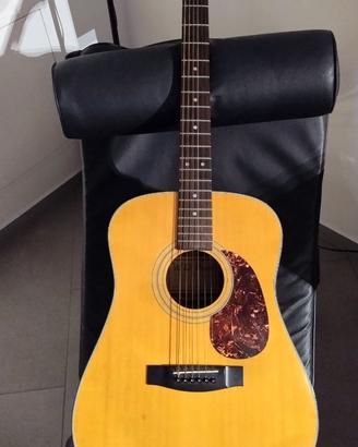 Chitarra acustica folk american style W D. Brand