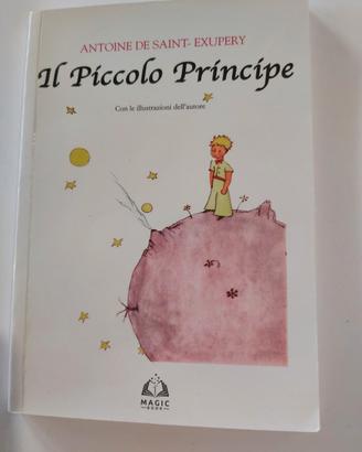 Libro x ragazzi "Il Piccolo Principe"