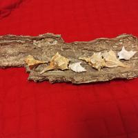 Complemento d'arredo artigianale