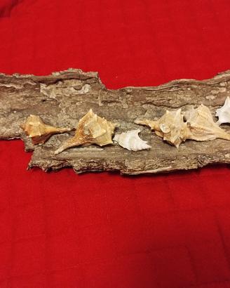 Complemento d'arredo artigianale