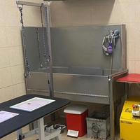 Vasca da Toelettatura professionale