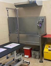 Vasca da Toelettatura professionale