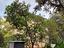 Immagine 12
