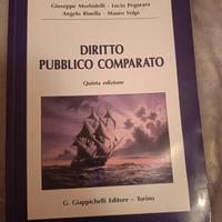 DIRITTO PUBBLICO COMPARATO