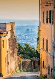 Terreno sulle colline di Fiesole rurale
