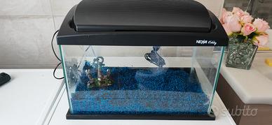 acquario newa