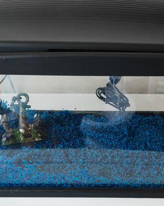 acquario newa