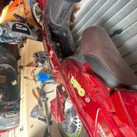 Bici scooter elettrica