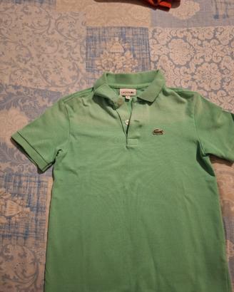 Polo Lacoste bambino 8 anni 