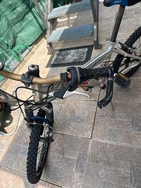 Bicicletta