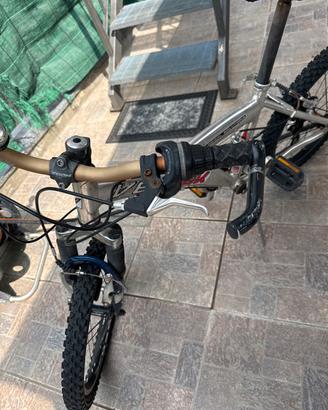 Bicicletta