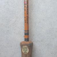 Canna Vintage anni '60